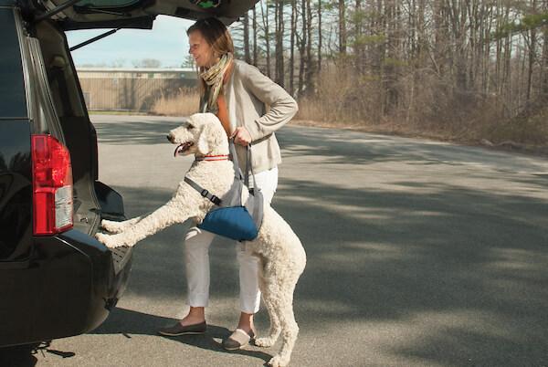 Kurgo Up & About Dog Lifter Blue/Charcoal Kurgo Up & About Dog Lifter Blue/Charcoal